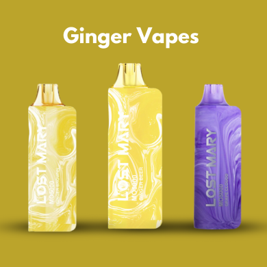Lost Mary Ginger Vapes