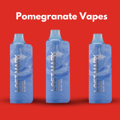Lost Mary Pomegranate Vapes